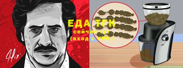 тгк Абаза