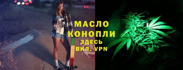 тгк Абаза