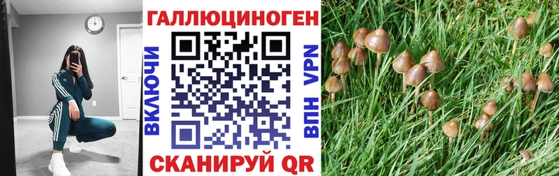 Псилоцибиновые грибы Cubensis  Ярославль 